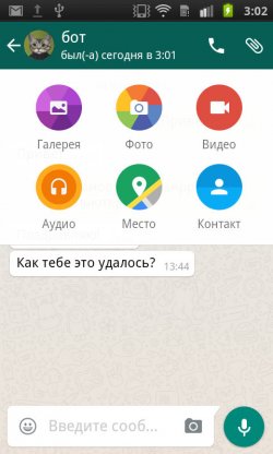 WhatsApp для Андроид WhatsApp для Андроид