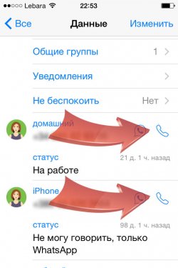 WhatsApp для iPhone